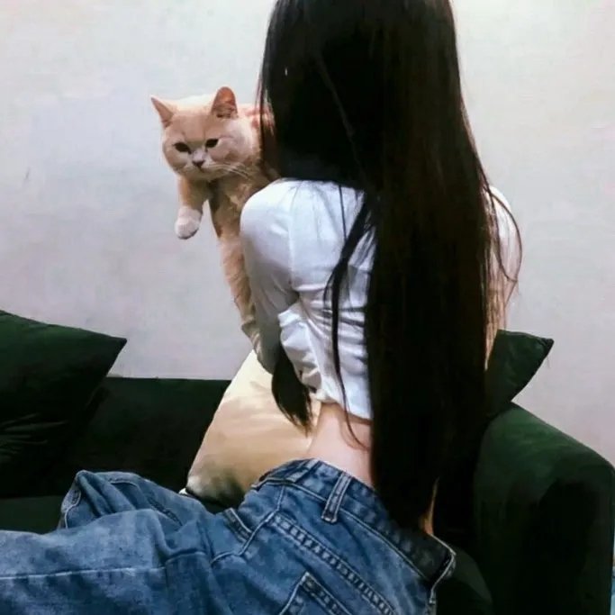 在路上